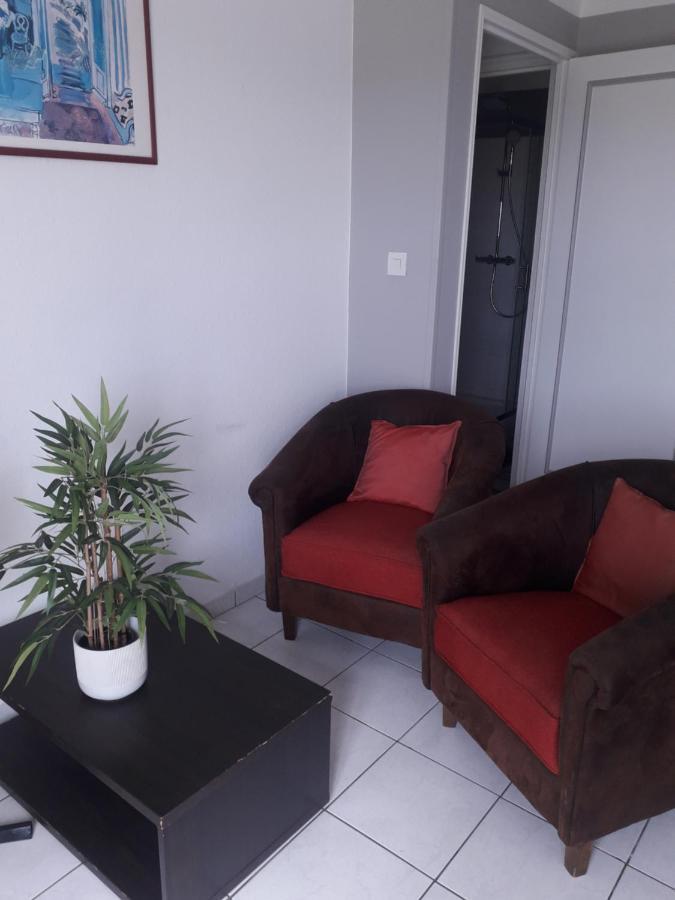 Residence D'Anjou - Grand Studio Avec Balcon Et Parking Privatif Перпинян Екстериор снимка